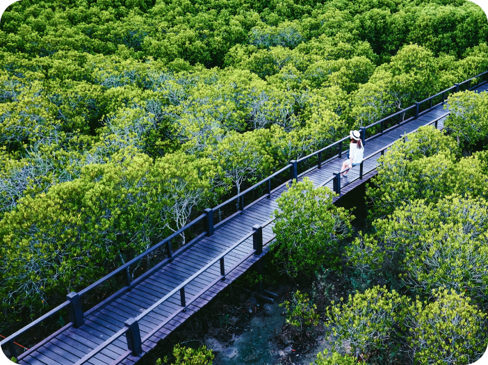 https://www.presight.ai/wp-content/uploads/2024/08/mangroves2-1.png